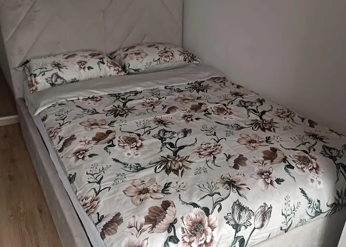 Coco Apartment